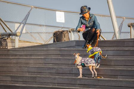 YOKOHAMA, JAPAN - NOVEMBER 24 2015: Unidentified people at Osanbashi Pier, the main international passenger pier at the Port of Yokohamaのeditorial素材