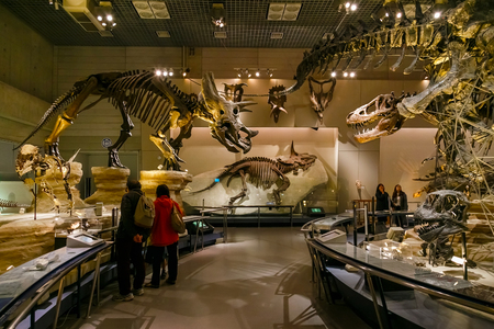TOKYO, JAPAN - NOVEMBER 25 2015: National Museum of Nature and Science offers a wide variety of natural history exhibitions and interactive scientific experiencesのeditorial素材