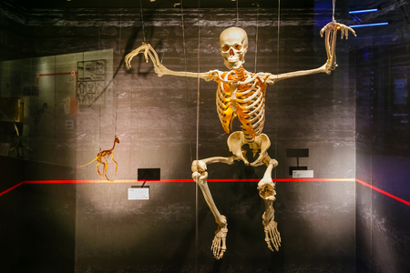 Tokyo, Japan - November 25 2015: National Museum of Nature and Science offers a wide variety of natural history exhibitions and interactive scientific experiencesのeditorial素材