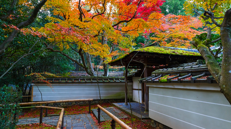 Autumn at Koto-in a Sub Temple of Daitokuji Temple in Kyoto, JapanKYOTO, JAPAN - NOVEMBER 23 2015:...