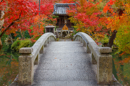 Eikando Zenrinji Temple in Kyoto, JapanKYOTO, JAPAN - NOVEMBER 22 2015: Eikando (View of Eternity Hall) Zenrinji (Temple of Forest of Zen), founded in 853, houses a famous Amida statue which a Japanese important Cultural Propertyのeditorial素材