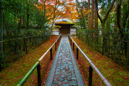 Autumn at Koto-in a Sub Temple of Daitokuji Temple in Kyoto, JapanKYOTO, JAPAN - NOVEMBER 23 2015: Koto-in Temple is one of Daitokuji sub temples, founded in 1601 and it's probably the most popular temple in Daitokujiのeditorial素材