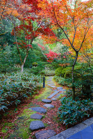 Autumn at Koto-in a Sub Temple of Daitokuji Temple in Kyoto, JapanKYOTO, JAPAN - NOVEMBER 23 2015: Koto-in Temple is one of Daitokuji sub temples, founded in 1601 and it's probably the most popular temple in Daitokujiのeditorial素材
