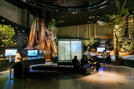 Tokyo, Japan - November 25 2015: National Museum of Nature and Science offers a wide variety of natural history exhibitions and interactive scientific experiencesのeditorial素材