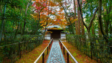 Autumn at Koto-in a Sub Temple of Daitokuji Temple in Kyoto, Japanのeditorial素材