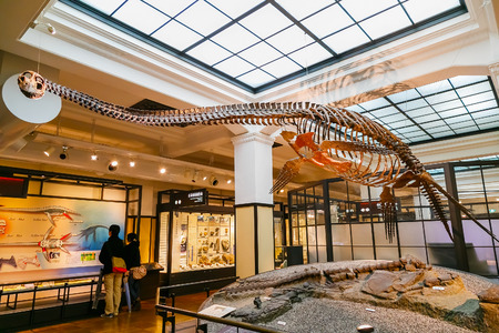 TOKYO, JAPAN - NOVEMBER 25 2015: National Museum of Nature and Science offers a wide variety of natural history exhibitions and interactive scientific experiencesのeditorial素材