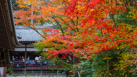 Eikando Zenrinji Temple in Kyoto, JapanKYOTO, JAPAN - NOVEMBER 22 2015: Eikando (View of Eternity Hall) Zenrinji (Temple of Forest of Zen), founded in 853, houses a famous Amida statue which a Japanese important Cultural Propertyのeditorial素材