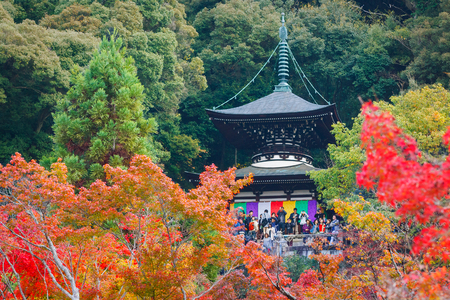KYOTO, JAPAN - NOVEMBER 22 2015: Eikando (View of Eternity Hall) Zenrinji (Temple of Forest of Zen), founded in 853, houses a famous Amida statue which a Japanese important Cultural Propertyのeditorial素材