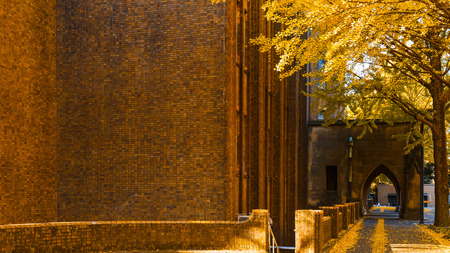 TOKYO, JAPAN - NOVEMBER 28 2015: Tokyo University (or Todai for short) is Japan's most prestigious university. Tokyo University usually ranks as Japan's best university, often number one in Asiaのeditorial素材
