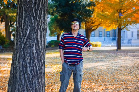 An Asian Man Stands under a Yellow Ginkgo Tree in Autumnの写真素材