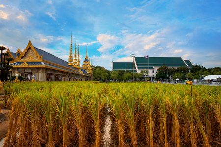 The Royal Crematorium of His Majesty King Bhumibol Adulyadej stands tall in Sanam Luang in front of the Grand Palaceのeditorial素材