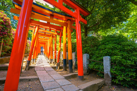 Tokyo, Japan - April 29 2018: Nezu Shrine established in 1705, one of the oldest worship places in the city, famous for its Azalea Festival held on from early April until early Mayのeditorial素材