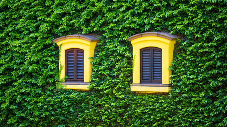 Tokyo, Japan - April 29 2018: Ghibli museum is a place that shows the work of Japanese animation Studio Ghibli, features of children, technology and finearts dedicated to art and animation techniqueのeditorial素材