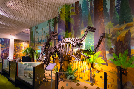 Liverpool, UK - May 16 2018: World Museum Liverpool houses extensive collections of archaeology, natural and physical sciences, included the Natural History Centre and a planetariumのeditorial素材