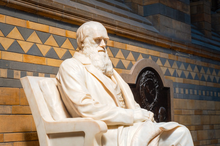 London, United Kingdom - May 20 2018: Sir Charles Darwin English naturalist, geologist and biologist his statue situated at the main hall of The Natural History Museum in Londonのeditorial素材