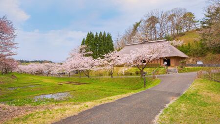 Kitakami, Japan - April 22 2018: Michinoku Folklore Village is a treasure trove of historic houses and folkloric artifacts. Most of the buildings and artifacts date back from the Edo Period, (1603-1868)のeditorial素材