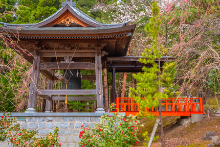Aomori, Japan - April 24 2018: Seiryu-ji Buddhist temple Seiry-ji Temple founded by Ryuko Oda in 1982, home to largest seated bronze Buddha statue, Showa Daibutsu, in Japanのeditorial素材