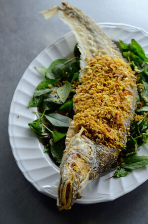 fried fish Sheatfish (Micronema apogon) on table at Thai native marketの写真素材