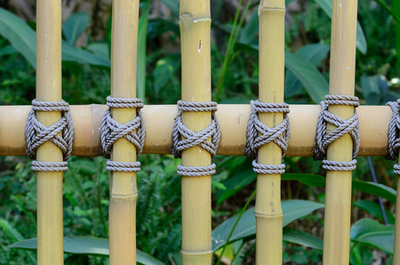 beautiful Thai stye bamboo fence connect by ropeの写真素材