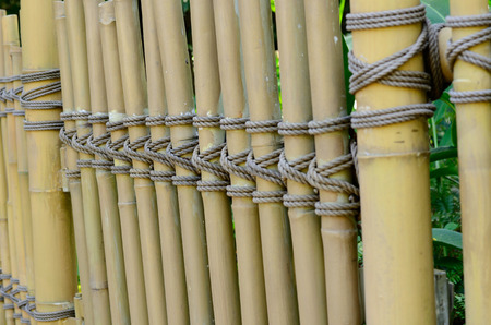 beautiful Thai stye bamboo fence connect by ropeの写真素材
