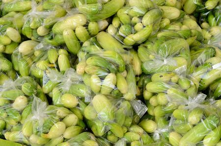 many of cucumber (Cucumis sativus) at Thai market