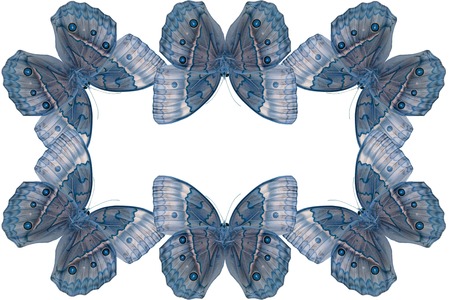 Beautiful Cambodian Junglequeen Butterfly (Stichophthalma howqua) in process color isolated on whiteの写真素材