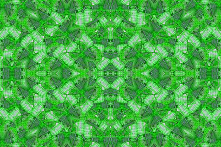 Beautiful multicolor pattern background texture made from Cambodian Junglequeen Butterfly (Stichophthalma howqua)の写真素材