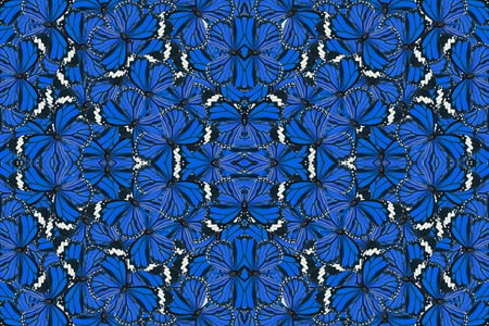 Beautiful multicolor pattern background texture made from Common Tiger Butterfly (Danaus genutia)の写真素材