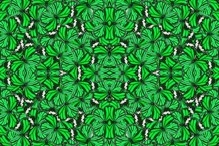 Beautiful multicolor pattern background texture made from Common Tiger Butterfly (Danaus genutia)の写真素材