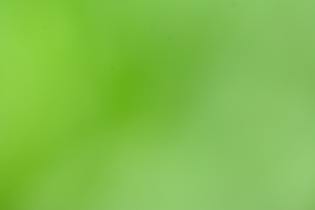 Green natural background of out of focus forest or bokehの写真素材