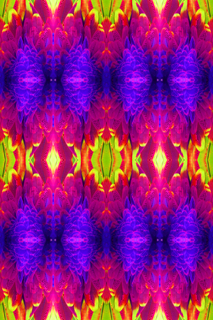 beautiful Green-winged Macaw (Ara chloropterus) back featherの写真素材