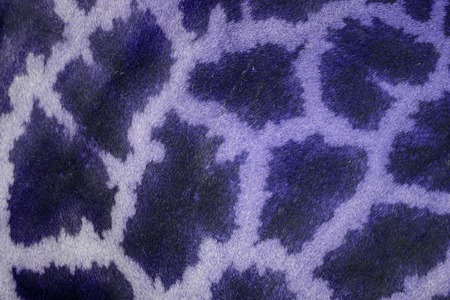 beautiful Giraffe (Giraffa camelopardalis) skin for background useの写真素材