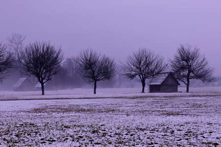 small barn next to the line of trees on rainy dayの写真素材