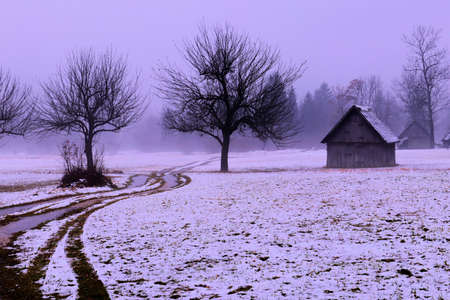 muddy road next to the small barnの写真素材
