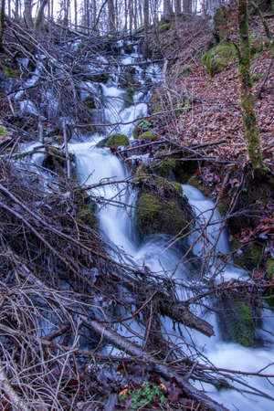 branches laying all over cascadeの写真素材