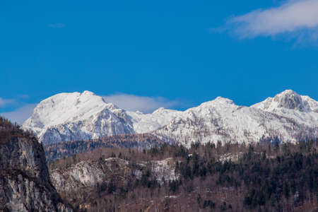 forest behind julian alps covered in snowの写真素材