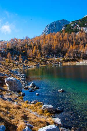 biggest lake in Triglav Lakes Valley with yellow larch trees , Sloveniaの写真素材