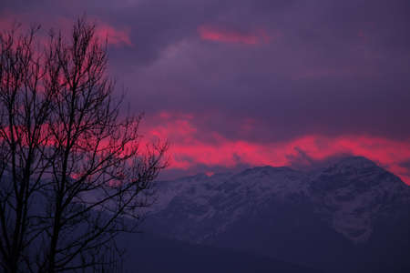 tree with blood like mountain skyの写真素材