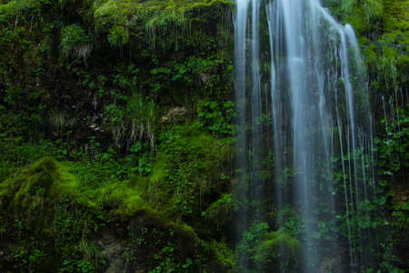 Water flowing over rock full of mossの写真素材