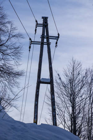 Electrical cables running through forest, winter timeの写真素材