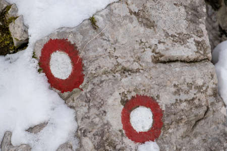 Two red blazes on rockの写真素材