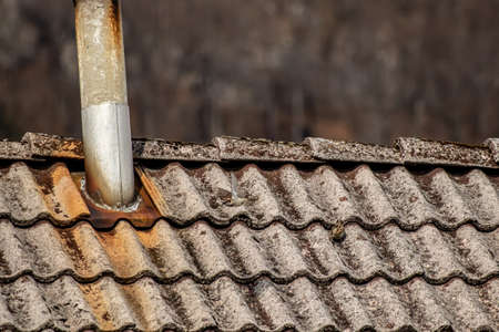 House sparrow in flying mode over roofの写真素材
