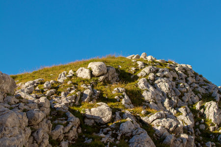 Sunlit mountain peak covered in grassの写真素材
