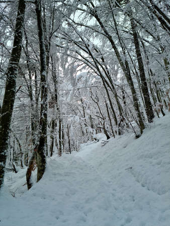 Mountain path covered in snowの写真素材