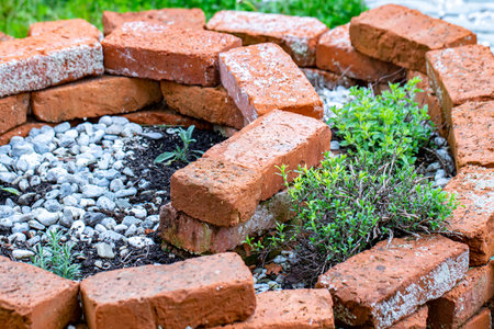 <p>Brick circle for herbal garden</p>の写真素材