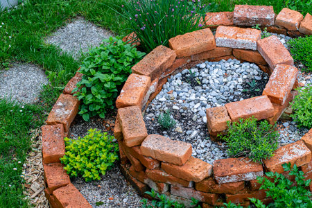 <p>Brick circle for herbal garden</p>の写真素材