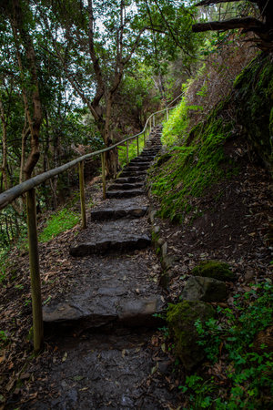 <p>Stairs outside in nature, europa</p>