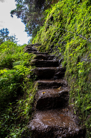 Stairs outside in nature, europa