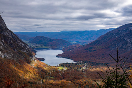 Beautiful Bohinj lake in Sloveniaの写真素材