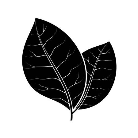 Vector illustration of ecology concept icon with green leaves, flat designのイラスト素材